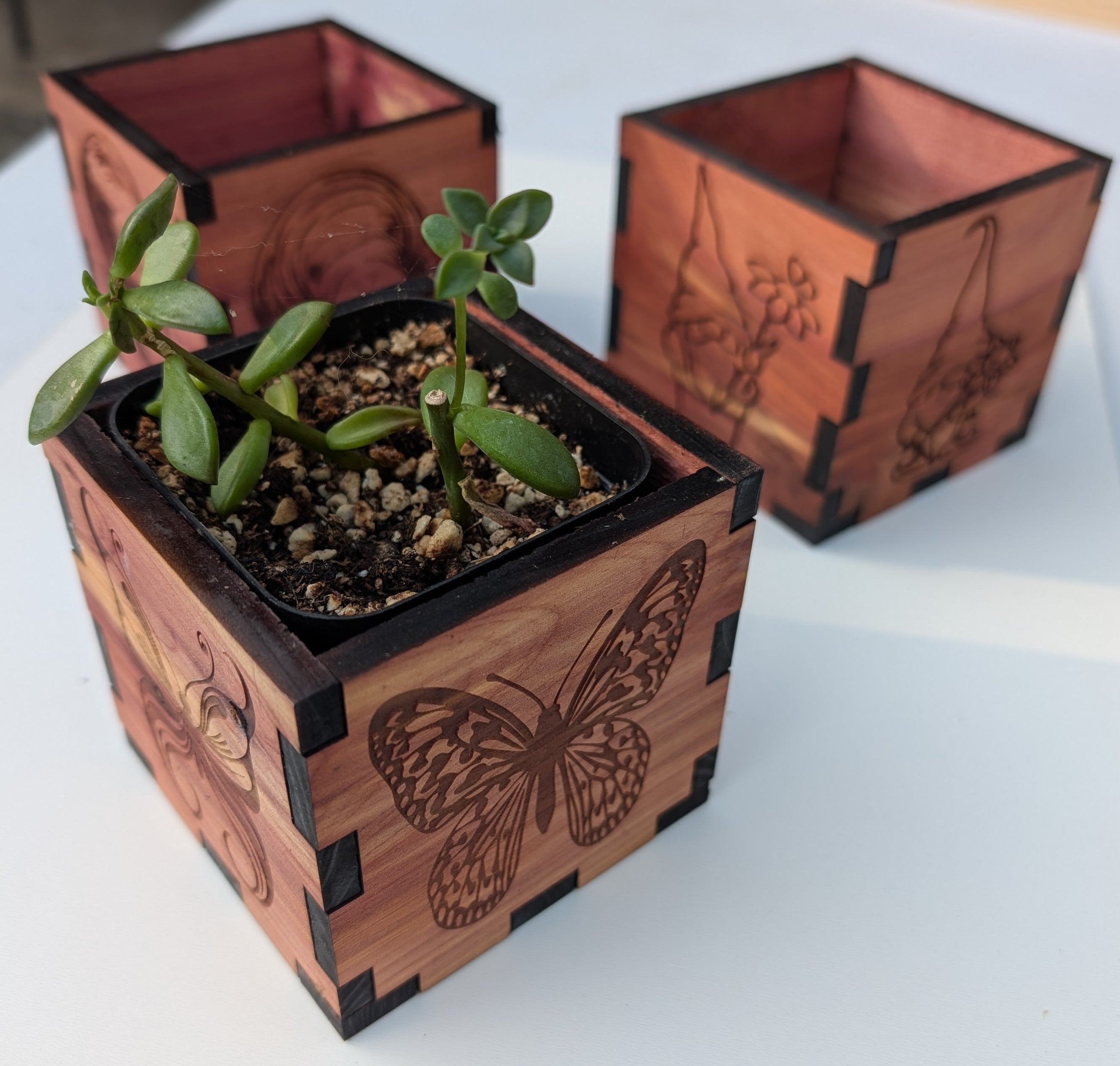 Cedar Planter Boxes